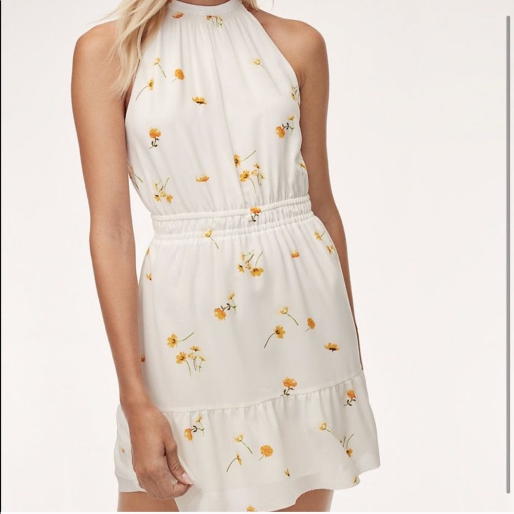 Aritzia Effet Dress Mini